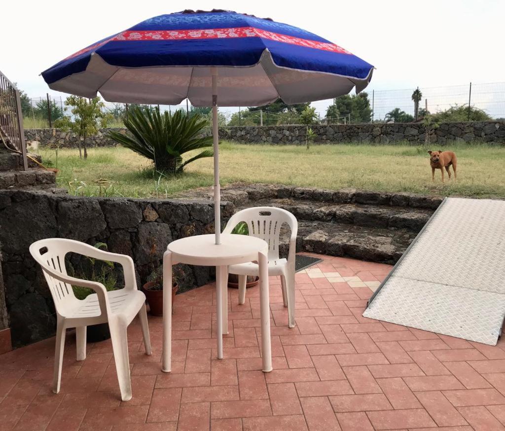 Holiday House Start Point Daire Aci Bonaccorsi Dış mekan fotoğraf